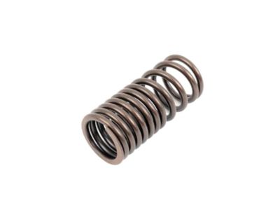 BMW 35-31-1-165-566 Compression Spring