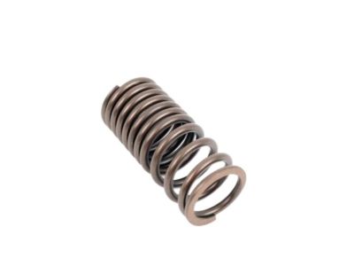 BMW 35-31-1-165-566 Compression Spring