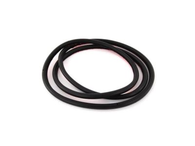 BMW 51-21-9-069-322 Front Door Seal
