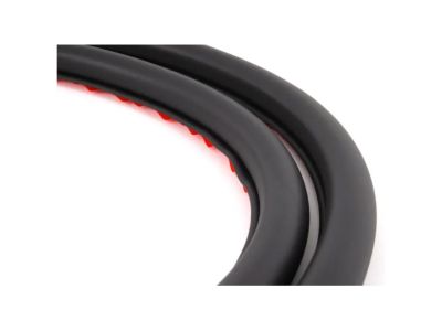 BMW 51-21-9-069-322 Front Door Seal