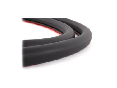 BMW 51-21-9-069-322 Front Door Seal