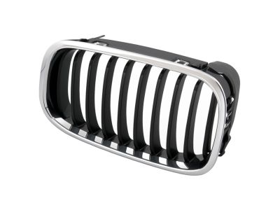 BMW 51-13-8-208-487 Grille Left