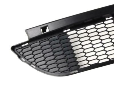 BMW 51-11-7-895-842 Grid, Centre