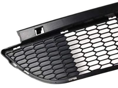 BMW 51-11-7-895-842 Grid, Centre