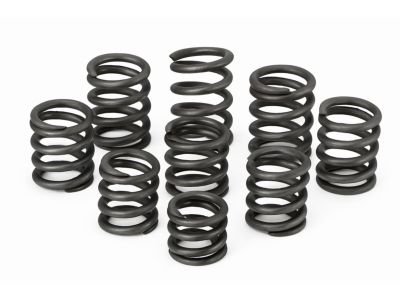 BMW 32-31-1-101-017 Compression Spring
