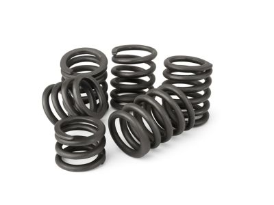BMW 32-31-1-101-017 Compression Spring
