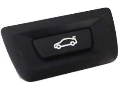 BMW 61-31-9-275-119 Switch Trunk Lid