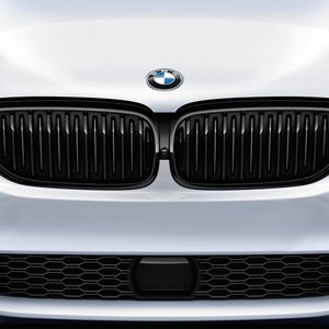 BMW 51-71-2-430-993 M Performance Black Kidney Grille, Left