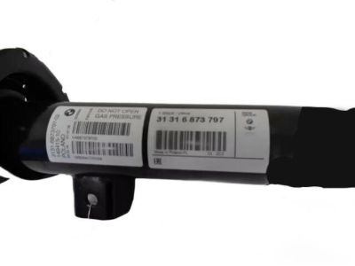BMW 31-31-6-873-769 Front Left Spring Strut