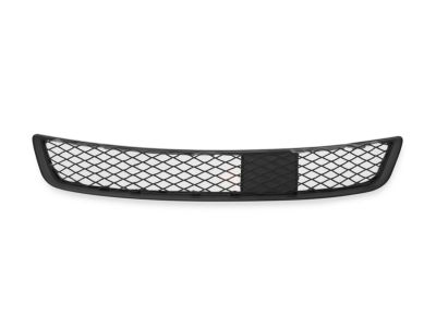 BMW 51-11-7-222-855 Grille, Middle Bottom