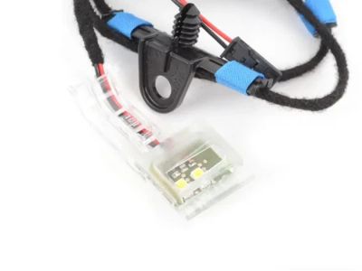 BMW 63-31-7-184-361 Door Handle Lighting, Left