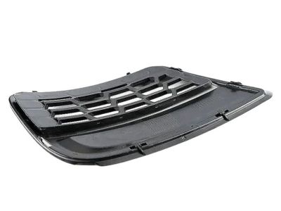 BMW 51-11-8-048-110 Grid Lateral Right