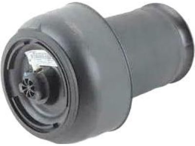 BMW 37-12-6-795-013 Rear Pneumatic Spring