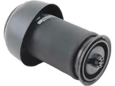 BMW 37-12-6-795-013 Rear Pneumatic Spring