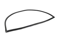 OEM BMW 325 Weatherstrip - 51-31-1-913-888