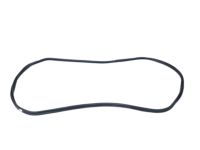 OEM 2012 BMW X6 Trunk Lid Gasket - 51-76-7-003-105