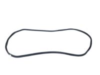 OEM BMW X6 Trunk Lid Gasket - 51-76-7-003-105