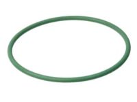 OEM BMW Rubber Seal - 16-11-6-765-055