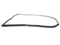 OEM 1984 BMW 633CSi Door Weatherstrip, Right - 51-21-1-861-502