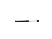 OEM 2022 BMW X3 Gas-Filled Strut, Engine-Compartment Lid - 51-23-7-397-493