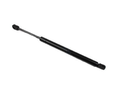 Ford 6W1Z-16C826-AB Lift Cylinder