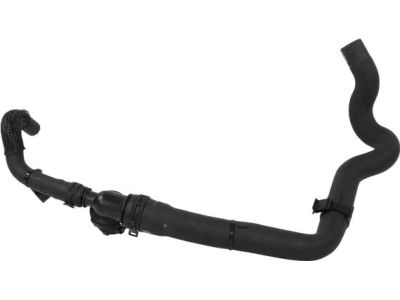 Ford GN1Z-8286-T Lower Hose