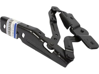 Ford AM5Z-16796-C Hinge