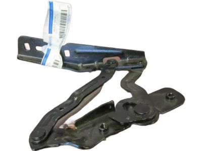 Ford AM5Z-16796-C Hinge