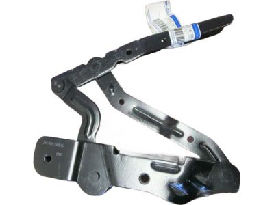 Ford AM5Z-16796-C Hinge