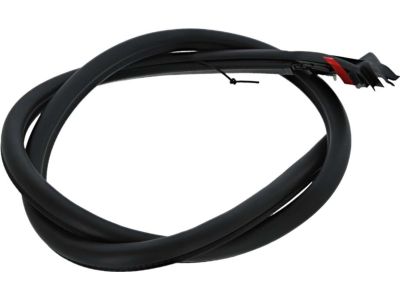 Ford FR3Z-7620708-A Weatherstrip On Body