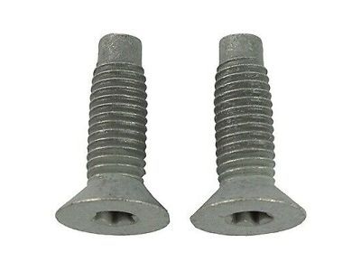 Ford -W703283-S437M Lower Striker Screw