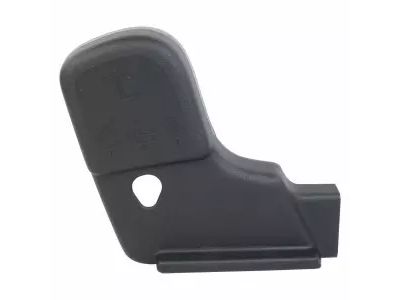 Ford DE9Z-7467460-AH Latch Cover