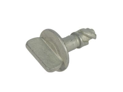 Ford BB5Z-00817-A Lower Shield Rivet