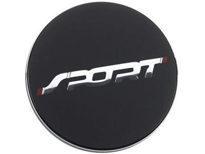 Ford AE5Z-1130-A Center Cap