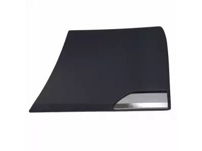 Ford 5W3Z-16036-CPTM Body Side Molding