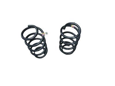 Ford CK4Z-5310-N Coil Spring