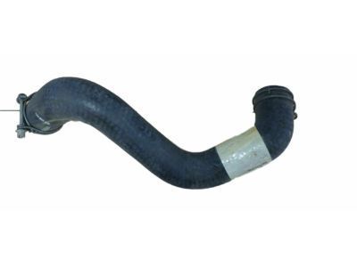 Ford F3DZ-8286-B Lower Hose