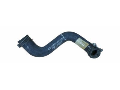 Ford F3DZ-8286-B Lower Hose