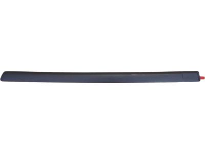 Ford 1L2Z-7825557-EA Body Side Molding