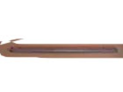 Ford 1L2Z-7825557-EA Body Side Molding