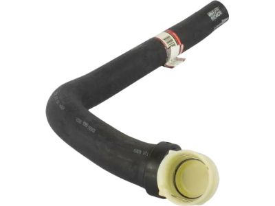 Ford FL3Z-8286-B Lower Hose