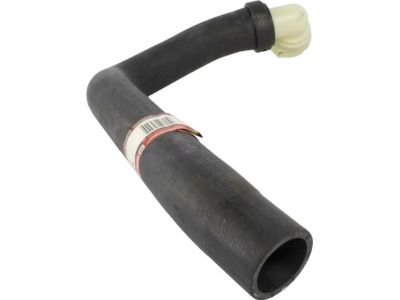 Ford FL3Z-8286-B Lower Hose