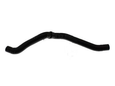 Ford AA5Z-8286-C Lower Hose