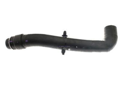 Ford AA5Z-8286-C Lower Hose