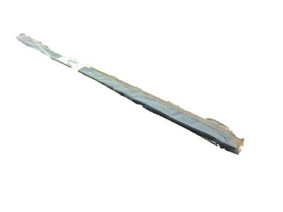 Ford YL3Z-1621457-AA Belt Weatherstrip