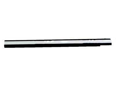 Ford 8L1Z-7821452-AA Glass Weatherstrip