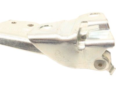 Ford 7L8Z-16796-A Hinge