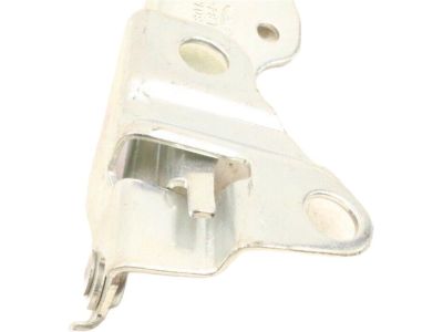 Ford 7L8Z-16796-A Hinge