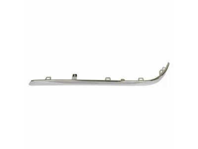 Ford JL7Z-17C830-AC Side Molding