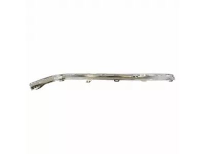 Ford JL7Z-17C830-AC Side Molding